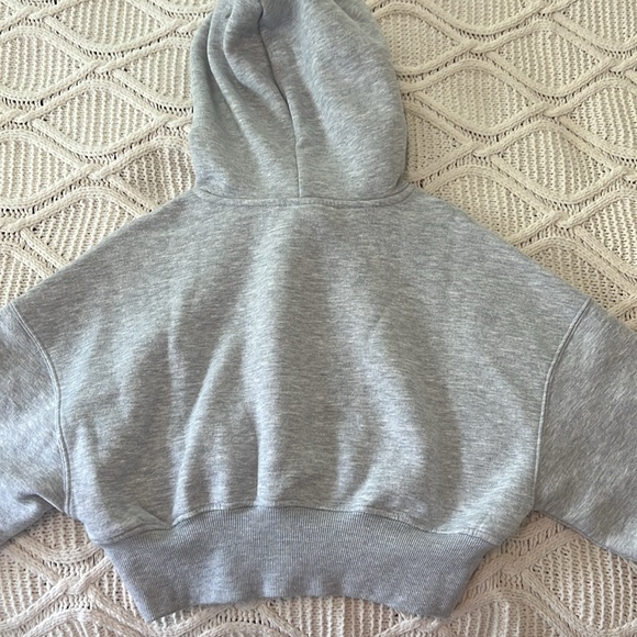 Pacsun Grey Crop Hoodie - Picture 3 of 4